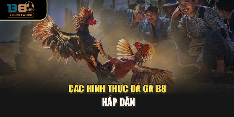 Các hình thức đá gà B8 hấp dẫn