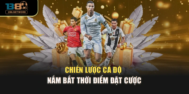 Chiến lược cá độ nắm bắt thời điểm đặt cược