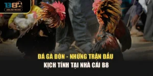 Đá Gà Đòn - Những Trận Đấu Kịch Tính Tại Nhà Cái B8