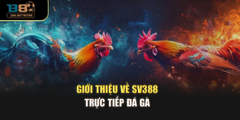 Giới thiệu về SV388 trực tiếp đá gà