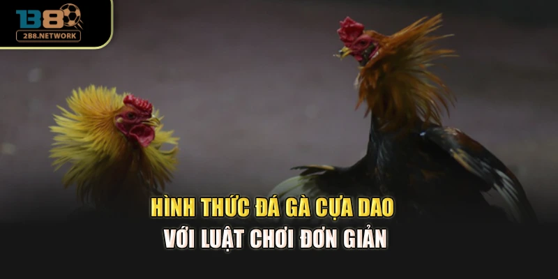 Hình thức đá gà cựa dao với luật chơi đơn giản