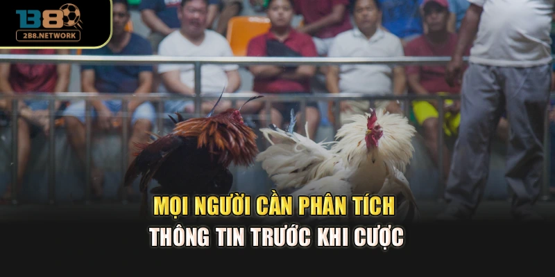 Mọi người cần phân tích thông tin trước khi cược