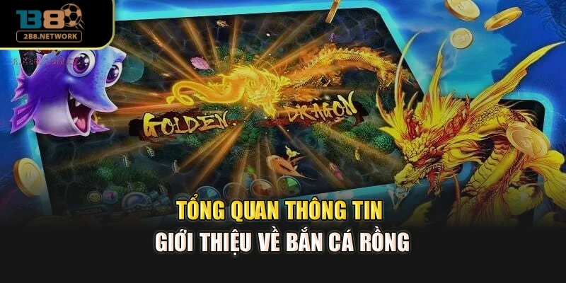 Tổng quan thông tin giới thiệu về bắn cá rồng